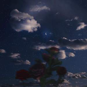 Doja Cat-Say So（WeiMUSIQUE remix）