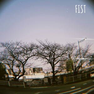 FIST
