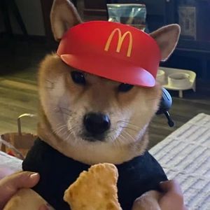 黄昏手捧玫瑰 伴奏