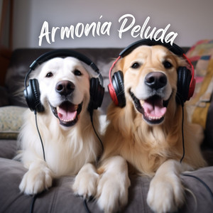 Almohadas Peludas
