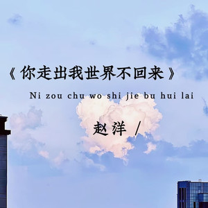 你走出我世界不回来