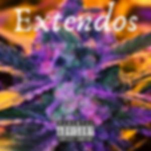 Extendos