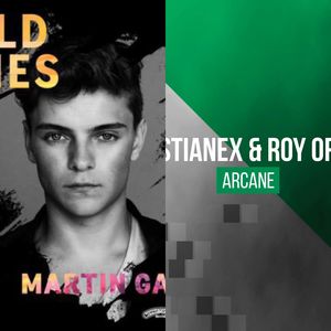 Animals vs Arcane（KCK mashup）。。（-KCK- remix）