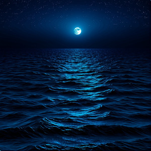 Ocean Night