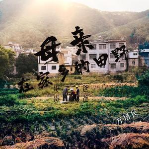 母亲在家乡的田野