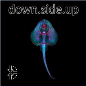 Indelible (Remaster)