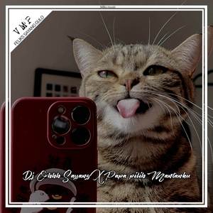 Dj Ohhh Sayang Ngana Ini Bagaimana X Papa Pilih Mantanku