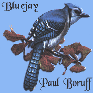 Bluejay