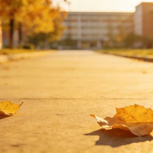 《秋之暗恋殇》