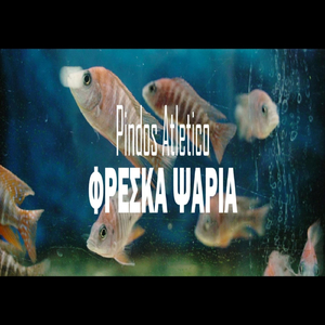 Φρεσκα Ψαρια