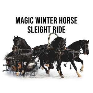 Magic Winter Horse Sleight Ride in the Alps, Pt. 5