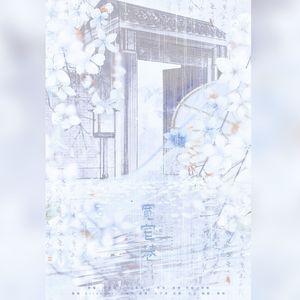 《宽窄巷》悠扬一曲，点亮岁月的长廊