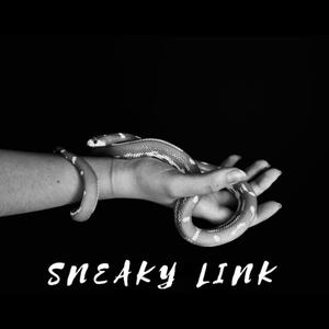 SNEAKY LINK
