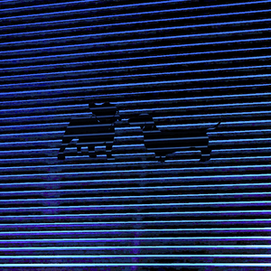 Backdoor (Original Mix)