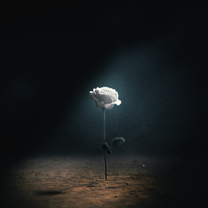 저는 당신의 기적입니다