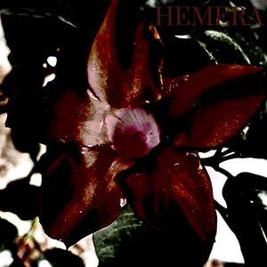 It takes a lot to cry (demo)