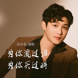 为你流过泪为你买过醉