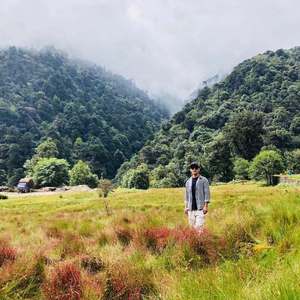 光明生活指引（新Demo）