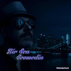Bir Sen Sevmedin-Sevilmeden Sevdim