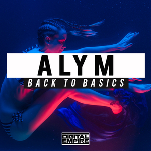 Back To Basics (Original Mix)