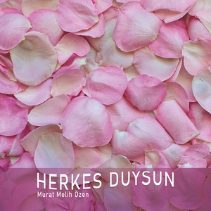 Herkes Duysun
