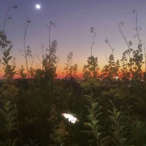 【Free】“晚风” Trrap emotional beat