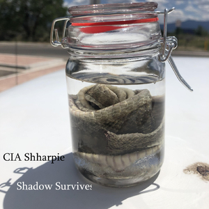 Shadow Survives
