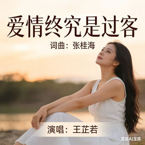 爱情终究是过客
