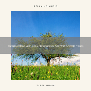 Nature Calls With Sea Sounds And Meadow Noises