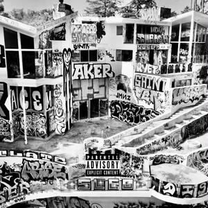 E V I L F U N K Y R O B O T J A M S E S S I O N (feat. The Cosmic Gypsy House Band)