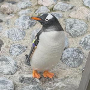 Eternal Nothing Something (feat. AI am Coming for You)