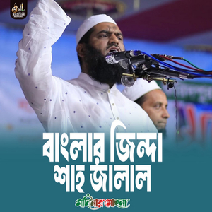 আল্লামা মামুনুল হক