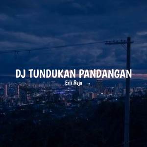 DJ Tundukan Pandangan (Remix)