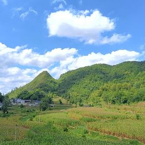 当 夏天离开时.