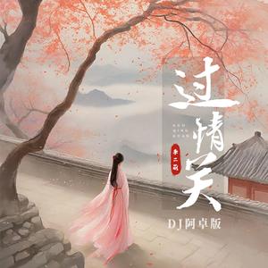 过情关 (DJ阿卓版)