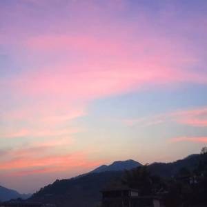 【美少女组合】DDU-DU DDU-DU(糊糊/繁花/KT/布懒