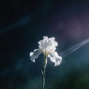 后来就这样 伴奏