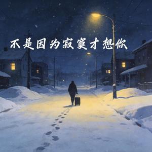 不是因为寂寞才想你