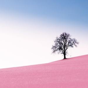 梦回还（狐妖小红娘）