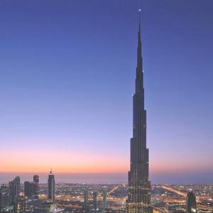 我们的爱就像秋叶等不到花开