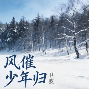 风催少年归
