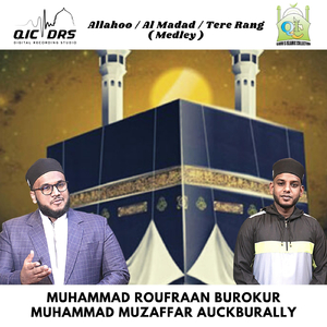 Allahoo / Al Madad / Tere Rang (feat. Muhammad Muzaffar Auckburally)