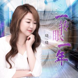 一转眼一年 (DJ版)