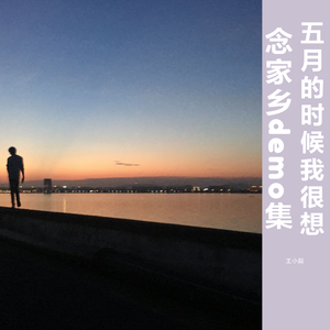 今年过年不能回家