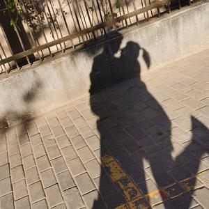 我有个问题但我不想问Demo