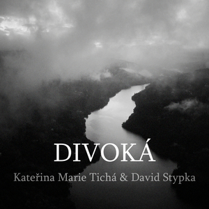 Divoka (Radio Edit)