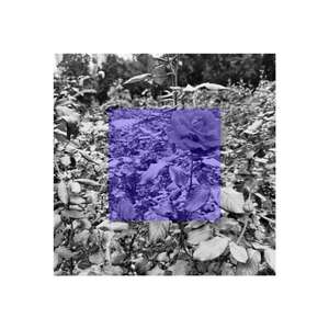 【FREE】“寻花”boombap koto BEAT