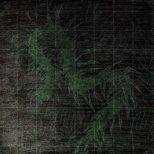 Болевой шок