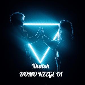 Domo Nzege I