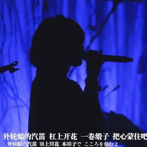 琥珀色の街 上海蟹の朝（covered by ずっと真夜中でいいのに。）